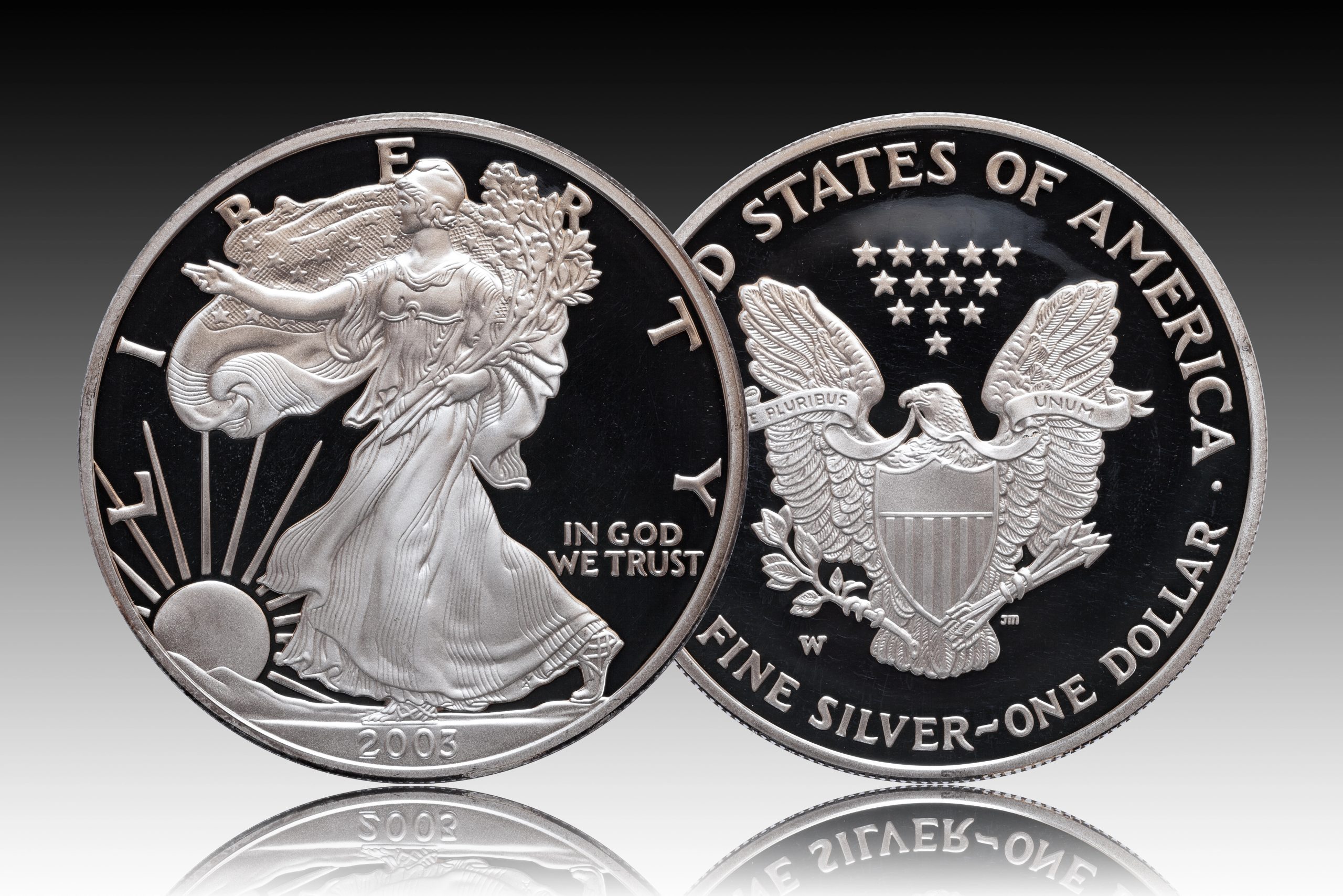 High-resolution photograph of the American Silver Eagle Obverse